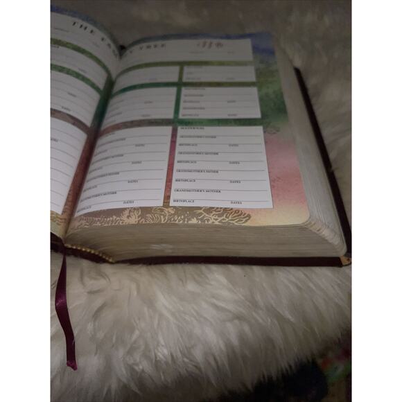 LIFE APPLICATION STUDY BIBLE NEW LIVING TRANSLATION NLT Leather Cover Tyndale - Picture 15 of 16